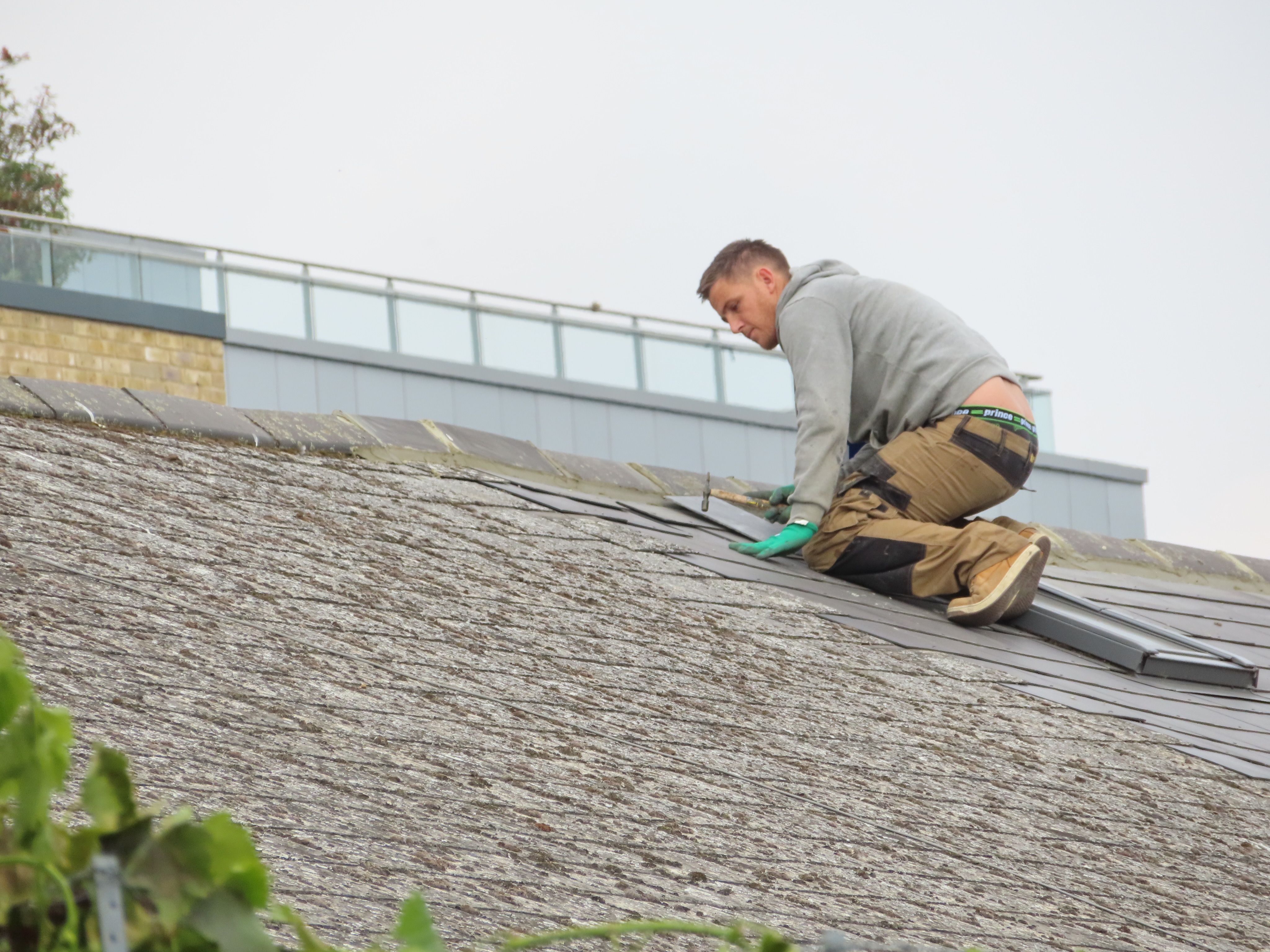 Roof maintenance service